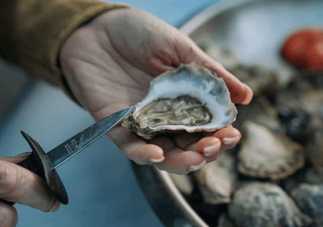 Oyster - Credit: Destination Central Coast x Remy Brand
